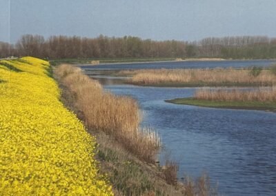 dichter Hoeksche Waard bundel alders sabine
